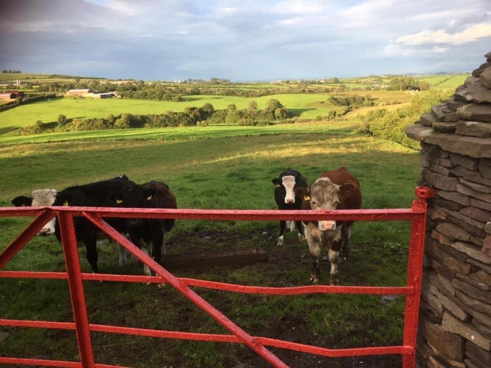 Crockgarve B And B Galbally Exterior photo
